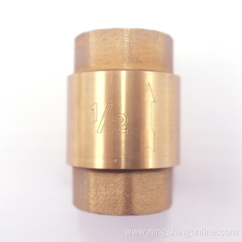 Brass vertical check valve